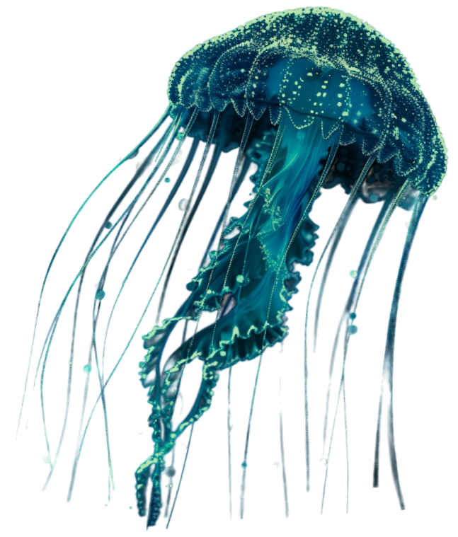 jellyfish